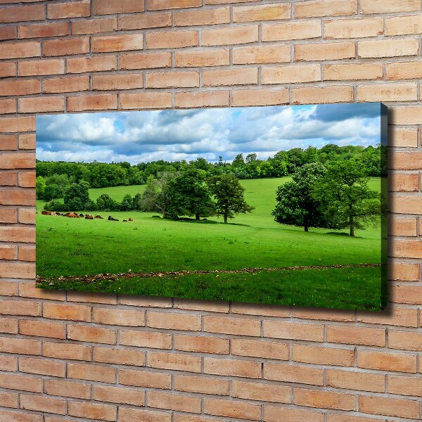 Foto op canvas Groene heuvels