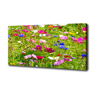 Foto op canvas Wilde bloemen