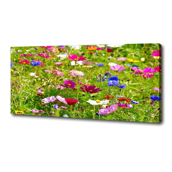 Foto op canvas Wilde bloemen