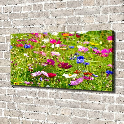 Foto op canvas Wilde bloemen