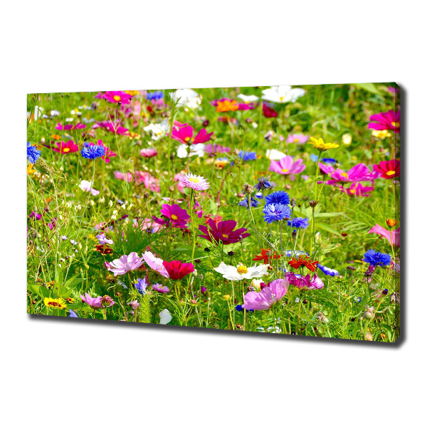 Foto op canvas Wilde bloemen