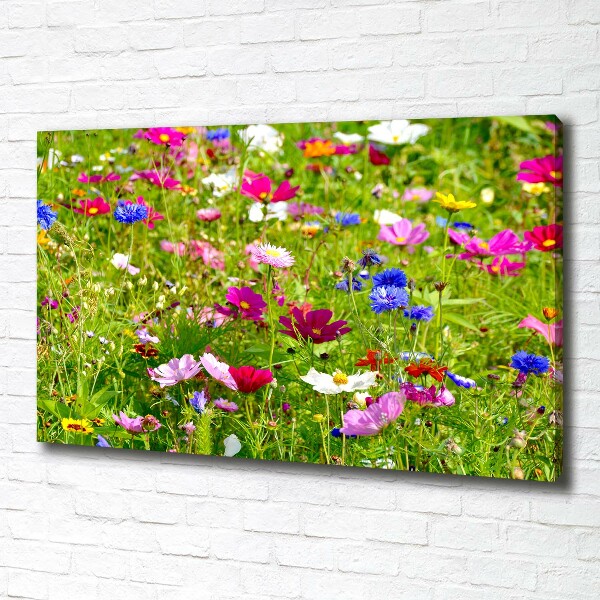 Foto op canvas Wilde bloemen
