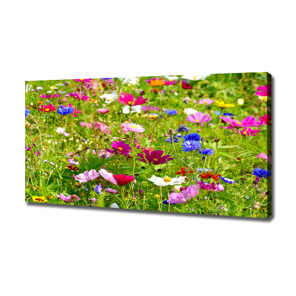 Foto op canvas Wilde bloemen