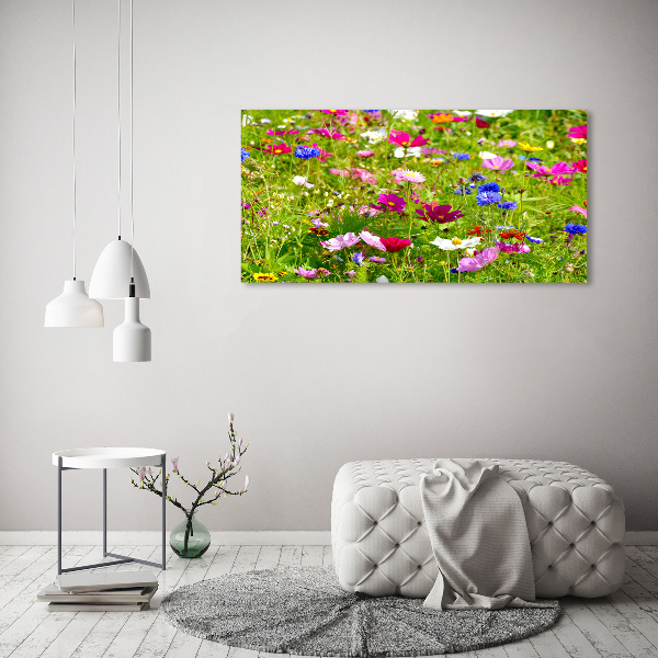 Foto op canvas Wilde bloemen