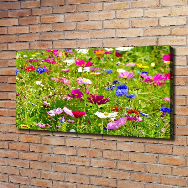 Foto op canvas Wilde bloemen