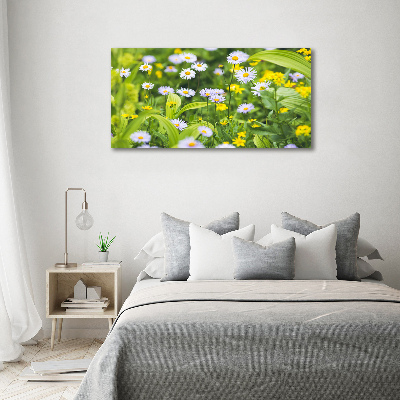 Canvas foto Madeliefjes