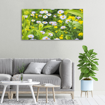 Canvas foto Madeliefjes