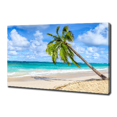 Foto canvas Tropisch strand