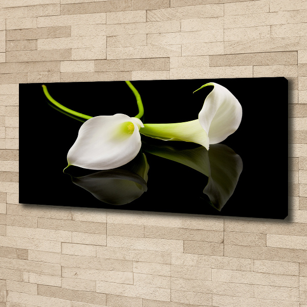 Schilderij op canvas Calla