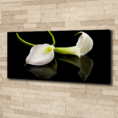 Schilderij op canvas Calla