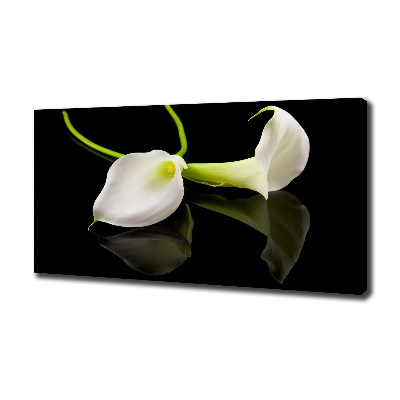 Schilderij op canvas Calla