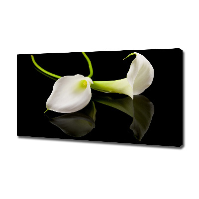 Schilderij op canvas Calla