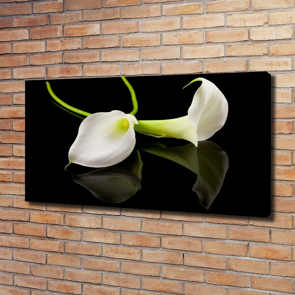 Schilderij op canvas Calla