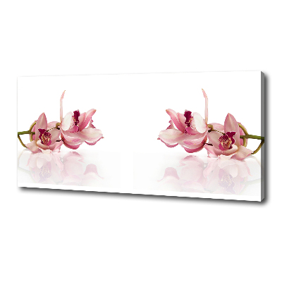 Foto canvas Orchidee