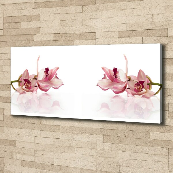 Foto canvas Orchidee