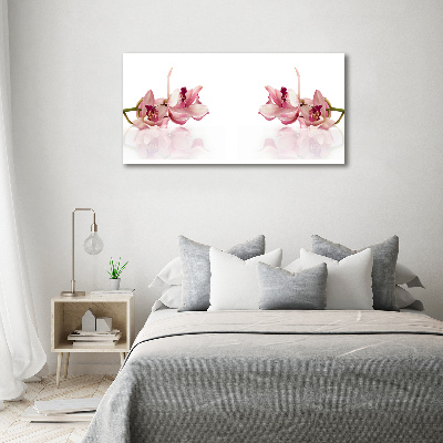 Foto canvas Orchidee