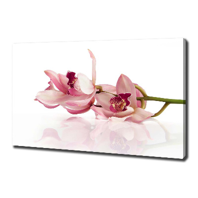 Foto canvas Orchidee