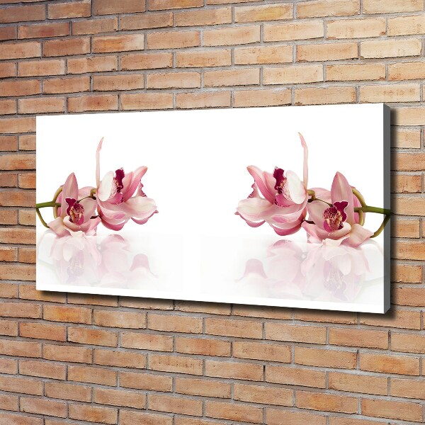 Foto canvas Orchidee
