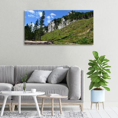 Foto op canvas Rotsachtige bergtoppen