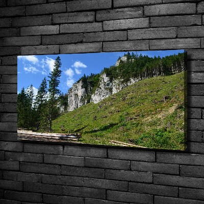 Foto op canvas Rotsachtige bergtoppen