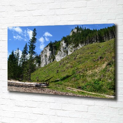 Foto op canvas Rotsachtige bergtoppen
