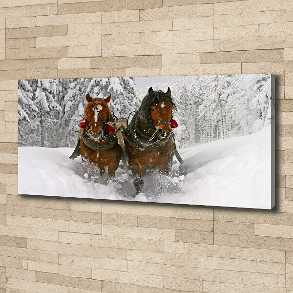 Schilderij op canvas Sleerit