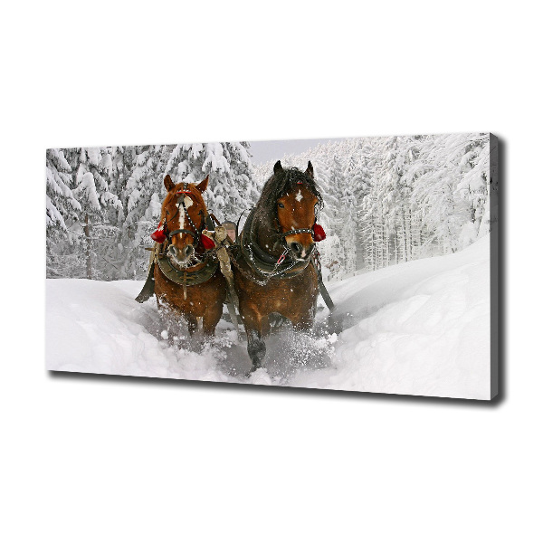 Schilderij op canvas Sleerit