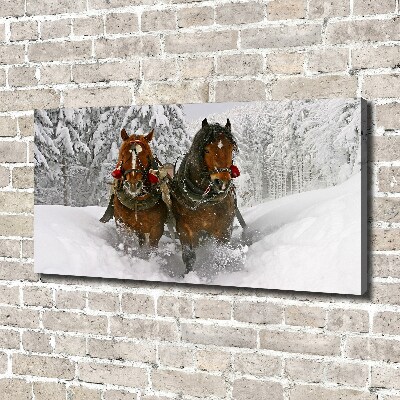 Schilderij op canvas Sleerit