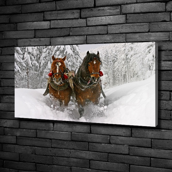 Schilderij op canvas Sleerit