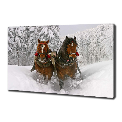 Schilderij op canvas Sleerit