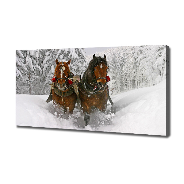 Schilderij op canvas Sleerit