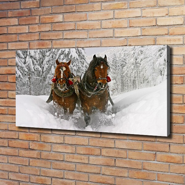 Schilderij op canvas Sleerit