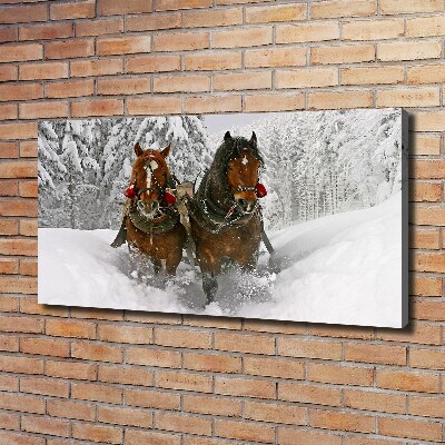 Schilderij op canvas Sleerit