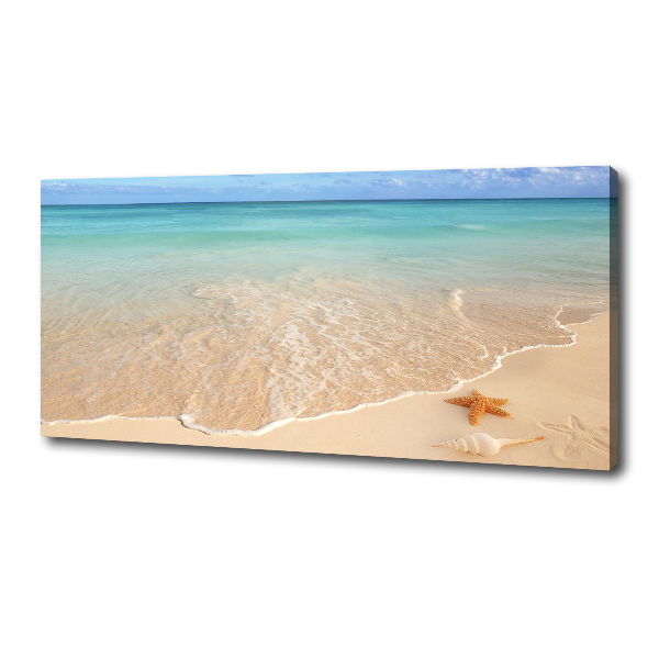 Canvas schilderij Zeesterren op het strand