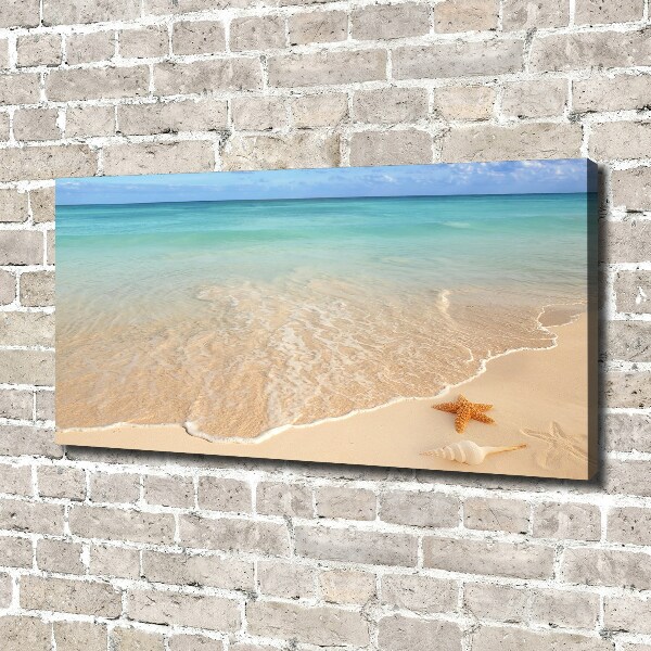 Canvas schilderij Zeesterren op het strand