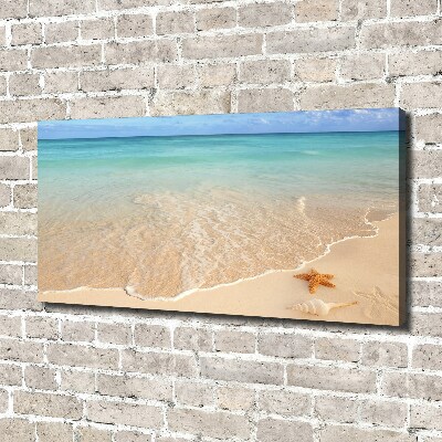 Canvas schilderij Zeesterren op het strand