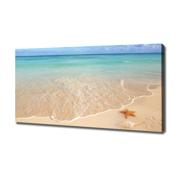 Canvas schilderij Zeesterren op het strand
