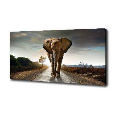 Foto op canvas Lopende olifant