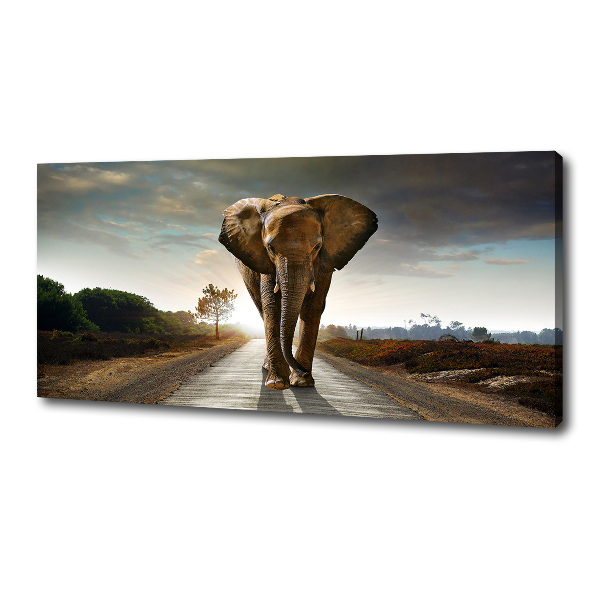 Foto op canvas Lopende olifant