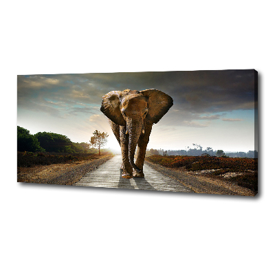 Foto op canvas Lopende olifant