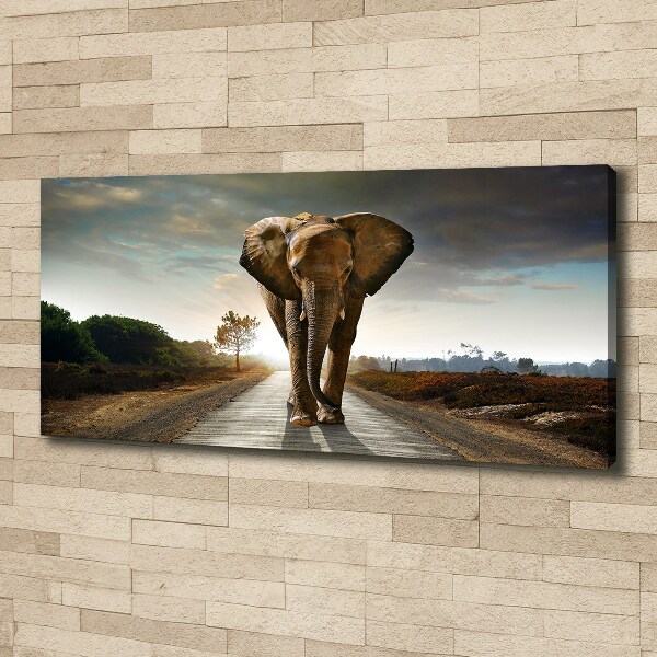 Foto op canvas Lopende olifant