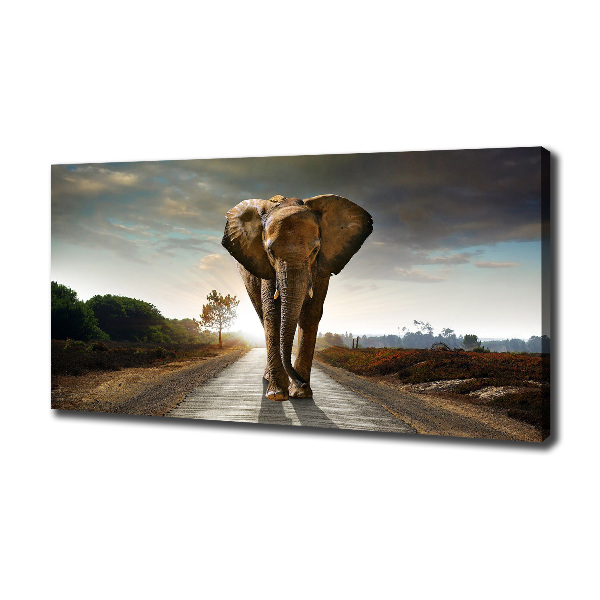 Foto op canvas Lopende olifant
