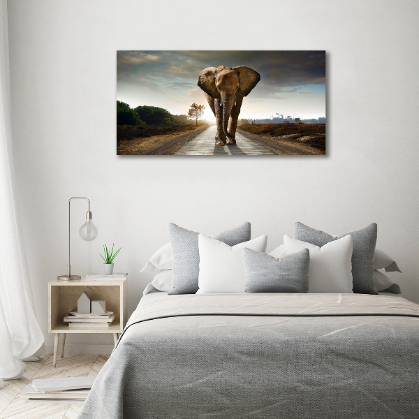 Foto op canvas Lopende olifant