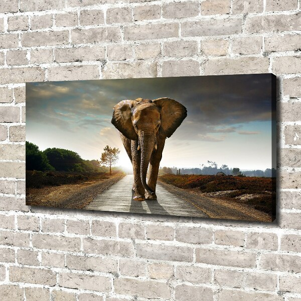 Foto op canvas Lopende olifant