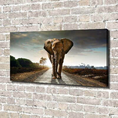 Foto op canvas Lopende olifant