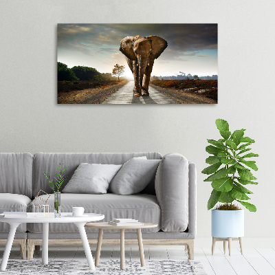 Foto op canvas Lopende olifant