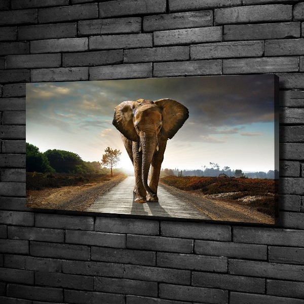 Foto op canvas Lopende olifant