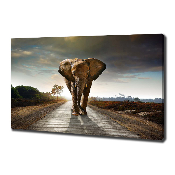 Foto op canvas Lopende olifant