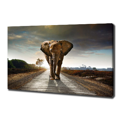 Foto op canvas Lopende olifant
