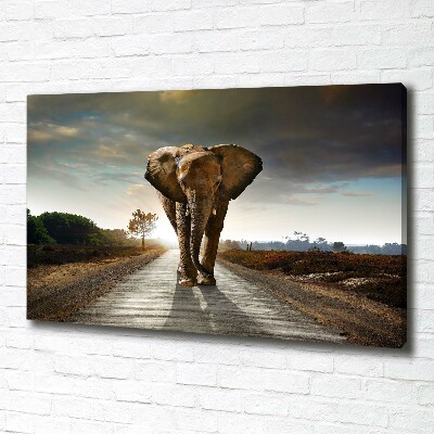 Foto op canvas Lopende olifant